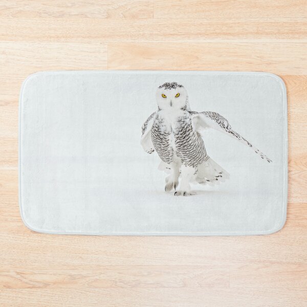 Aperçu de l'œuvre Snowy Owl créée et vendue par Owl-Images.