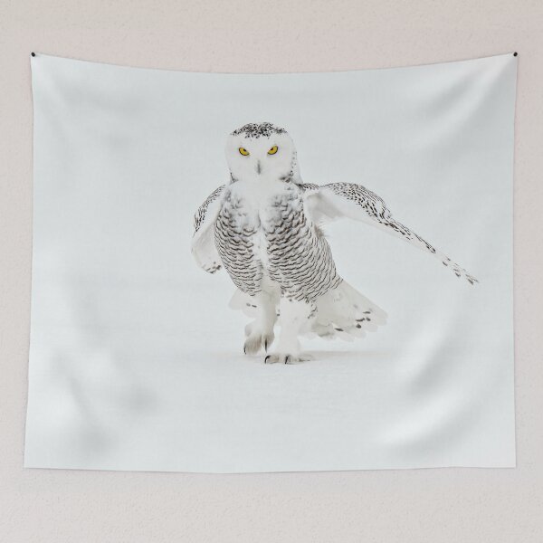 Item preview, Snowy Owl designed and sold by Owl-Images.