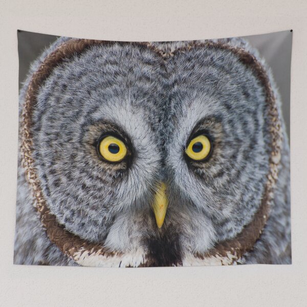 Item preview, Great Grey Owl designed and sold by Owl-Images.