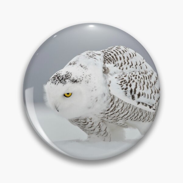 Item preview, Snowy Owl designed and sold by Owl-Images.