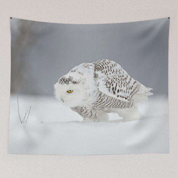 Item preview, Snowy Owl designed and sold by Owl-Images.