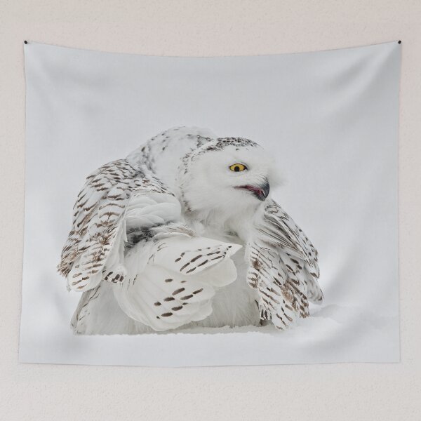 Item preview, Snowy Owl designed and sold by Owl-Images.