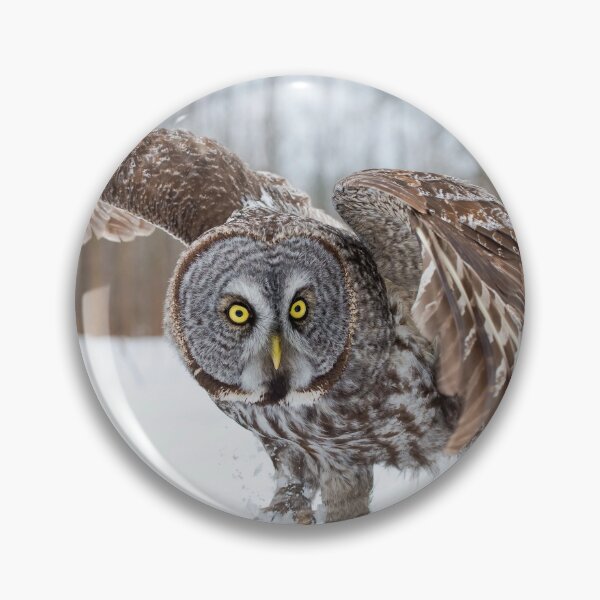 Item preview, Great Grey Owl designed and sold by Owl-Images.