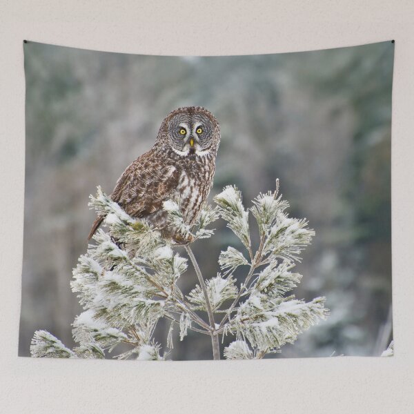 Item preview, Great Grey Owl designed and sold by Owl-Images.