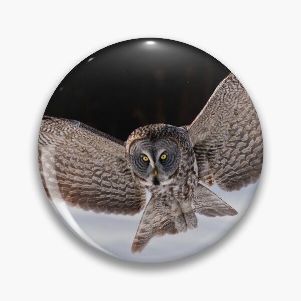 Item preview, Great Grey Owl designed and sold by Owl-Images.