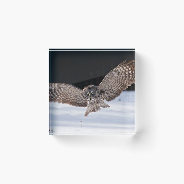 Item preview, Great Grey Owl designed and sold by Owl-Images.