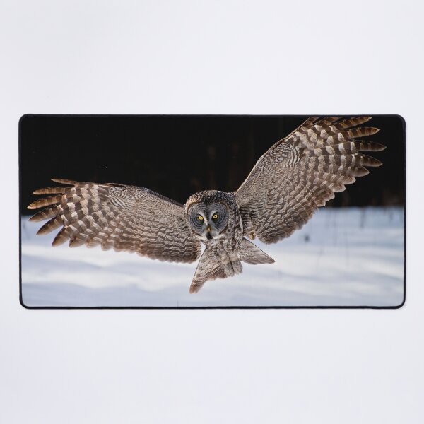 Item preview, Gran búho gris designed and sold by Owl-Images.