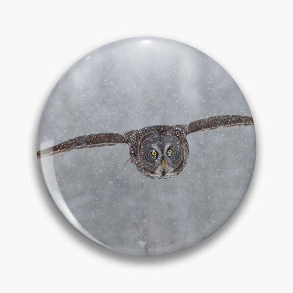 Item preview, Great Grey Owl designed and sold by Owl-Images.