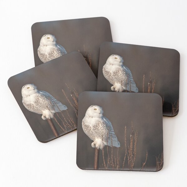 Item preview, Snowy Owl designed and sold by Owl-Images.