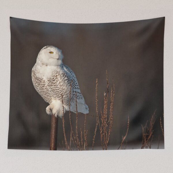 Item preview, Snowy Owl designed and sold by Owl-Images.