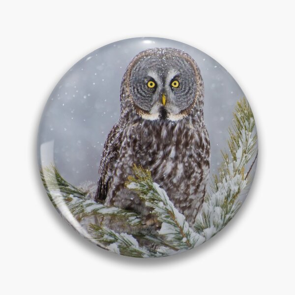 Item preview, Great Gray Tree Ornament designed and sold by Owl-Images.