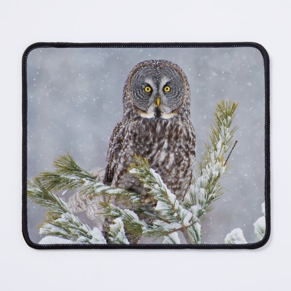Item preview, Great Gray Tree Ornament designed and sold by Owl-Images.