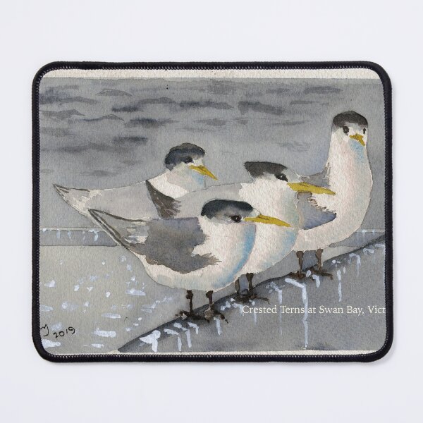 Item preview, Terns on Swan Bay designed and sold by janetJ.