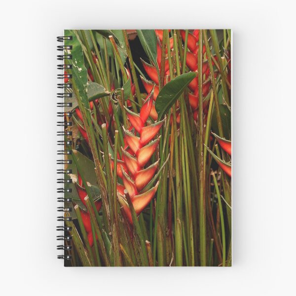 Artikelvorschau, Heliconia Caribaea entworfen und verkauft von Beatella.