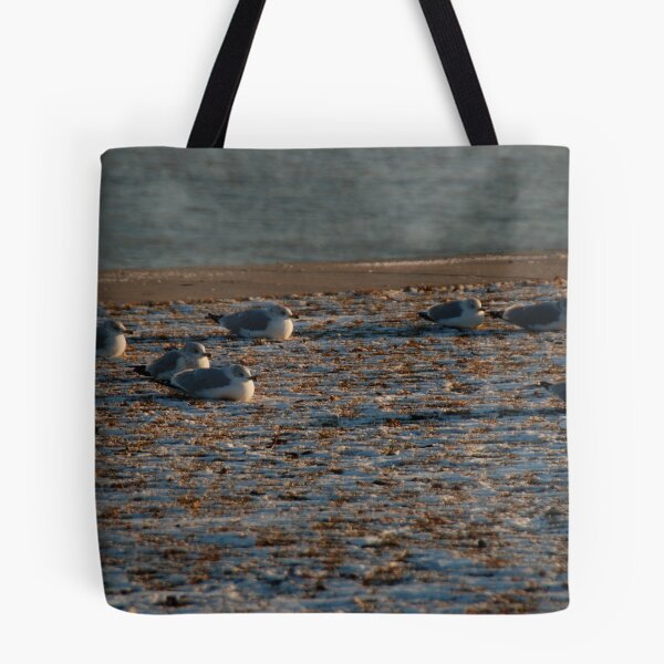 Item preview, snowbirds designed and sold by Deborah Singer.
