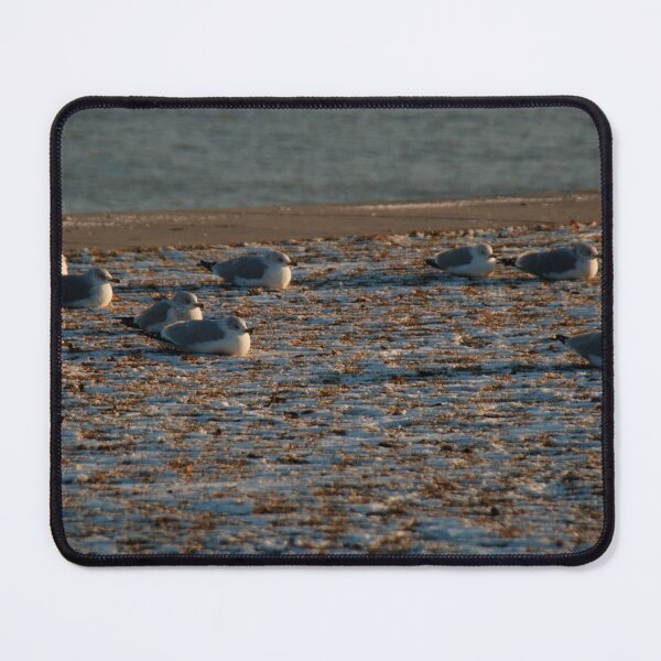 Item preview, snowbirds designed and sold by Deborah Singer.