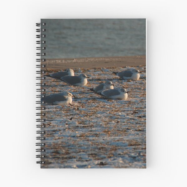 Item preview, snowbirds designed and sold by Deborah Singer.