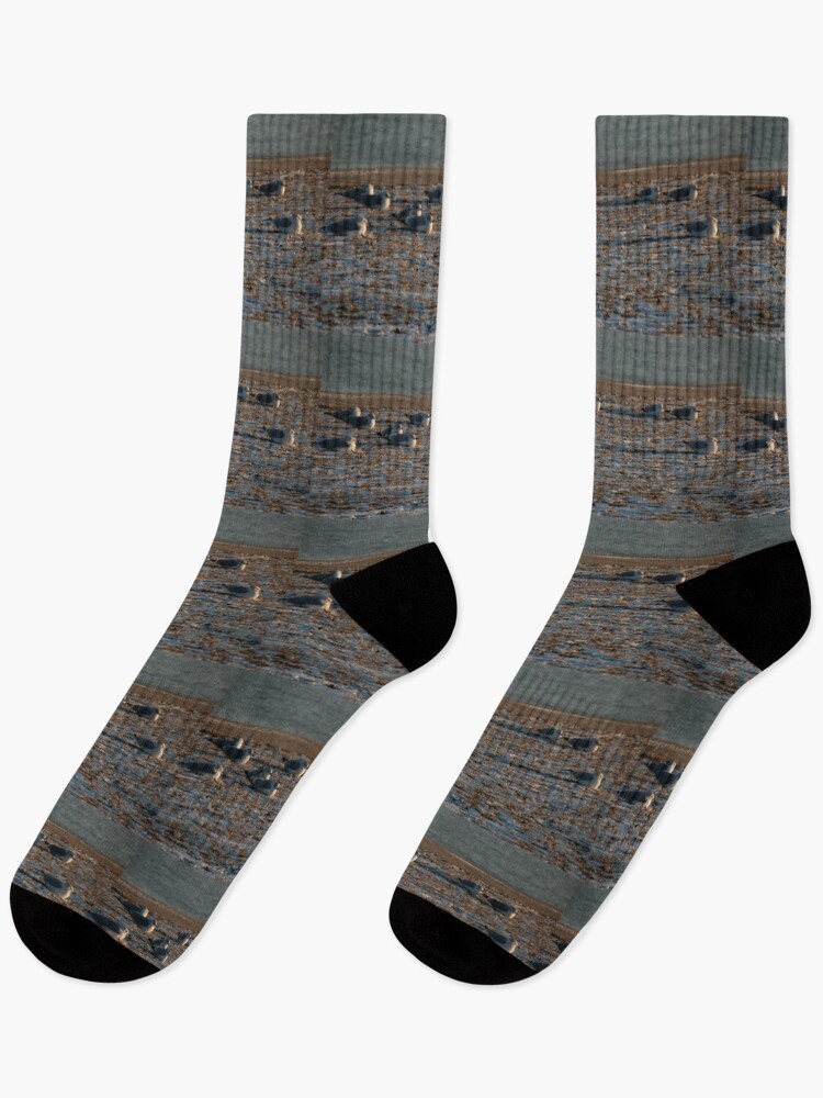 Thumbnail 1 of 5, Socks, snowbirds designed and sold by dcsinger.