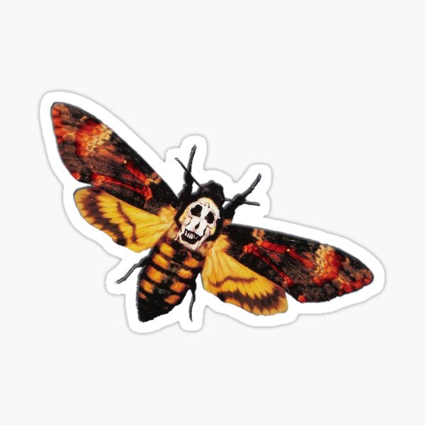 Death's Head Moth Sticker
