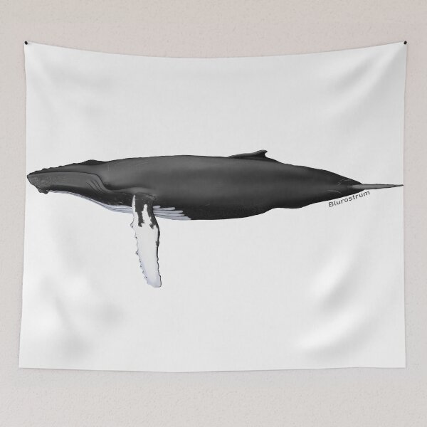 Item preview, Humpback Whale - digital designed and sold by Alberto Orilia.