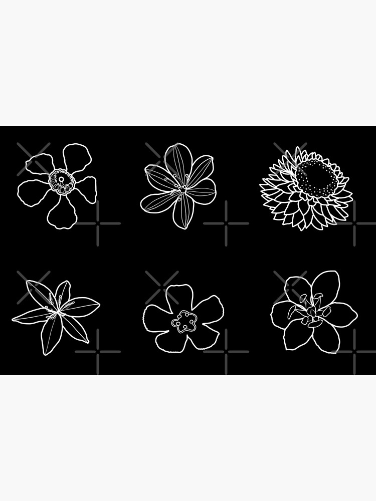 "White Australian Native Flowers " Poster for Sale by JoWillmot Redbubble