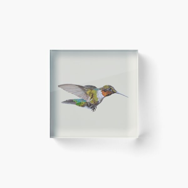 Item preview, Motley Flying Hummer I designed and sold by Angeles M. Pomata.