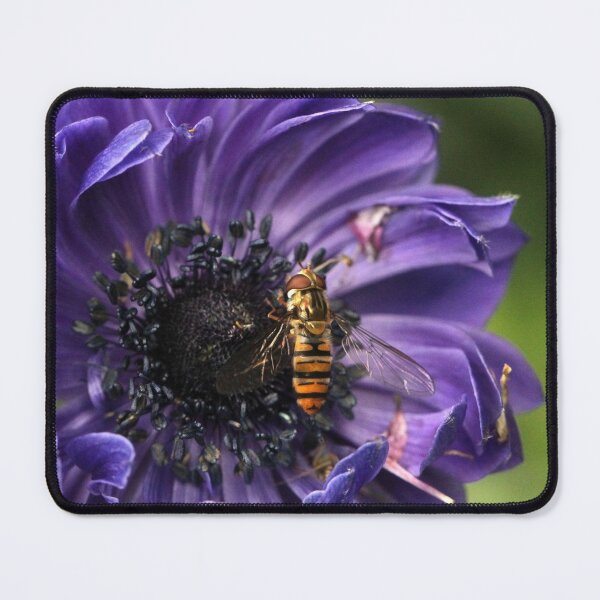 Item preview, Hoverfly on Poppy Anemone designed and sold by cuprum.