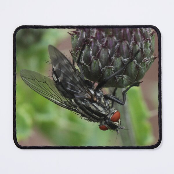 Item preview, A Perfect Match designed and sold by cuprum.