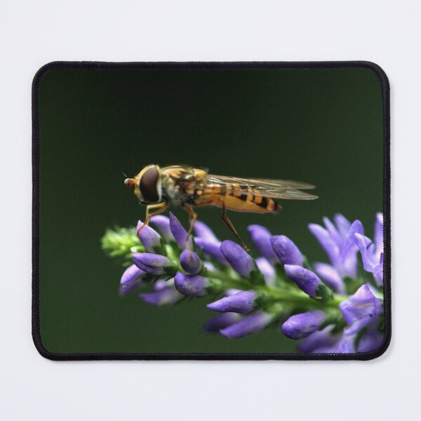 Item preview, Hoverfly on Veronica designed and sold by cuprum.