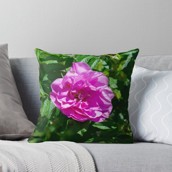 Item preview, I'm going to get there first designed and sold by TeresaYoung9.