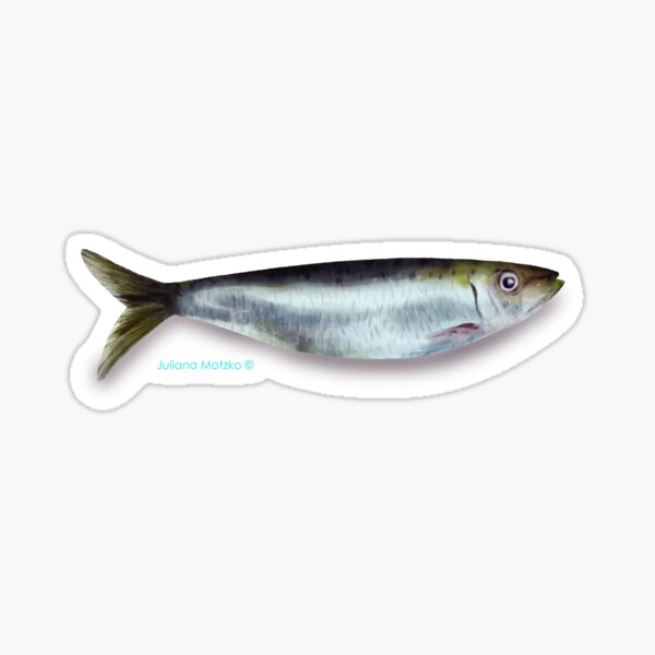 Artikel-Vorschau von Sardine, designt und verkauft von julianamotzko.