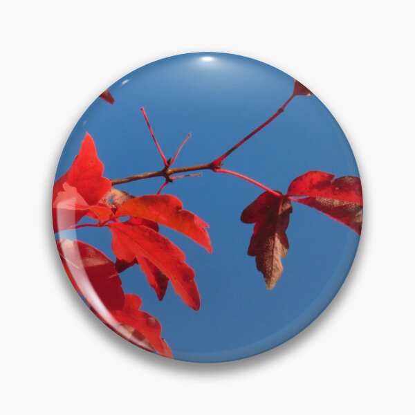 Item preview, Red Autumn Leaves, Blue Sky (2) designed and sold by wiggyofipswich.