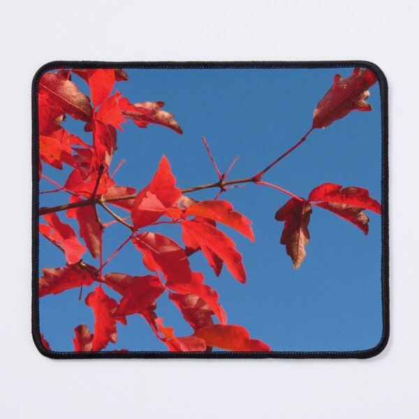 Item preview, Red Autumn Leaves, Blue Sky (2) designed and sold by wiggyofipswich.