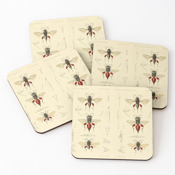 Item preview, A Project designed and sold by Chriselda Barretto.