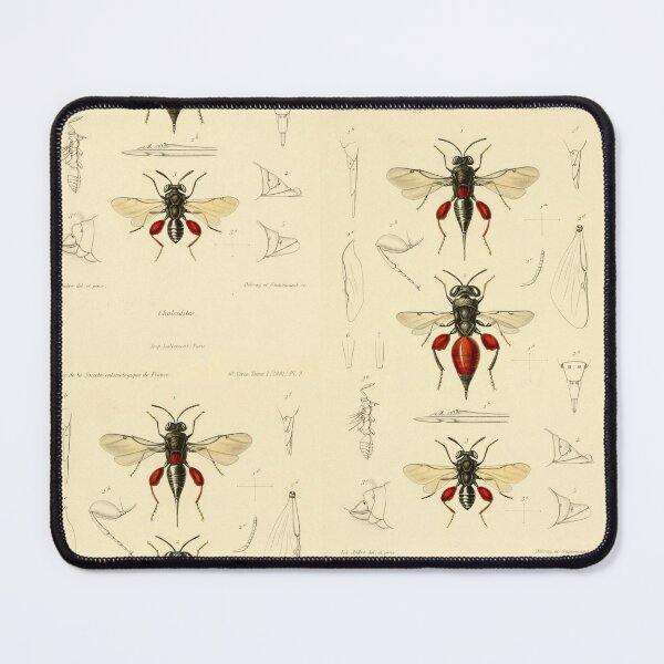 Item preview, A Project designed and sold by Chriselda Barretto.