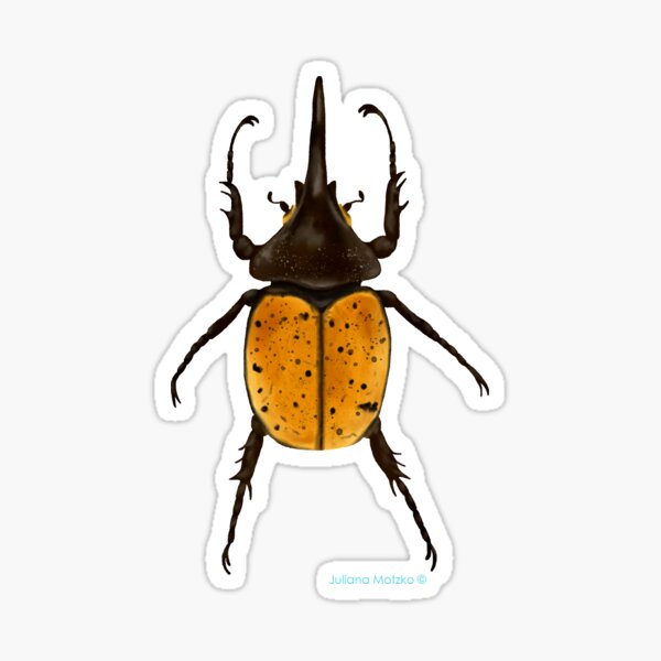 Bombardier Beetle Sticker