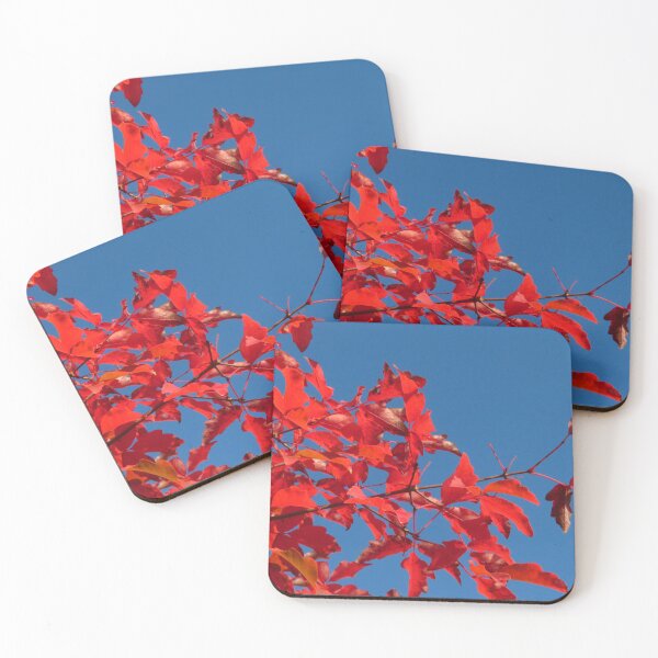 Item preview, Red Autumn Leaves, Blue Sky (3) designed and sold by wiggyofipswich.