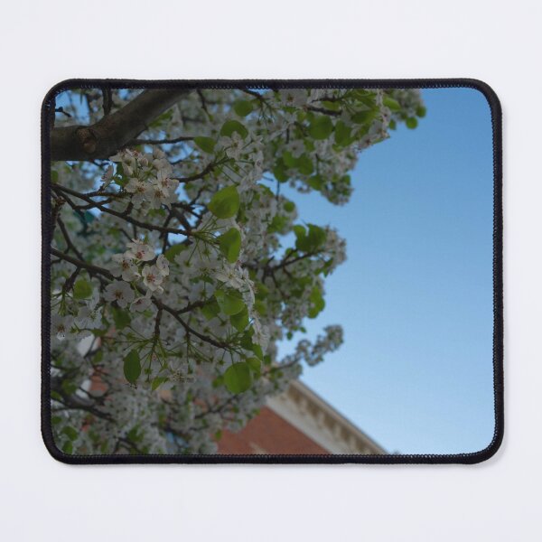 Item preview, another perspective designed and sold by TeresaYoung9.