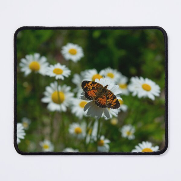 butterfly in the daisies Mouse Pad
