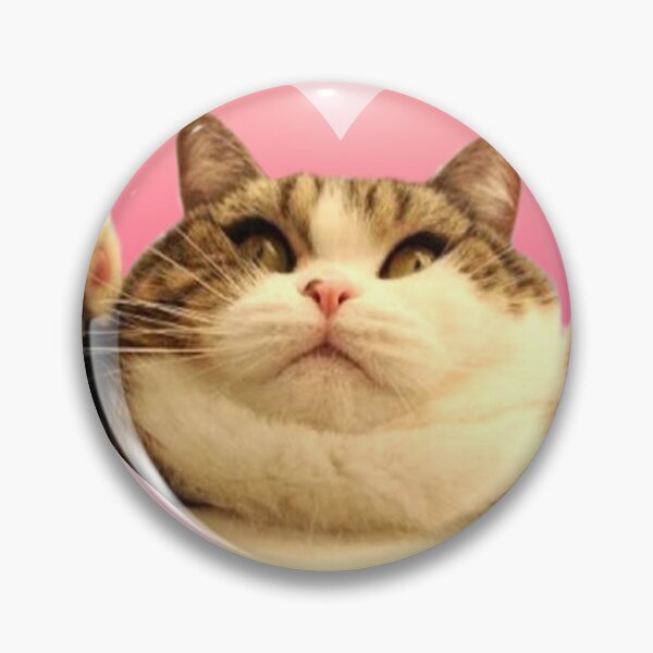 Item preview, Kitty Stickers: Chubby Kitty designed and sold by Elisecv.