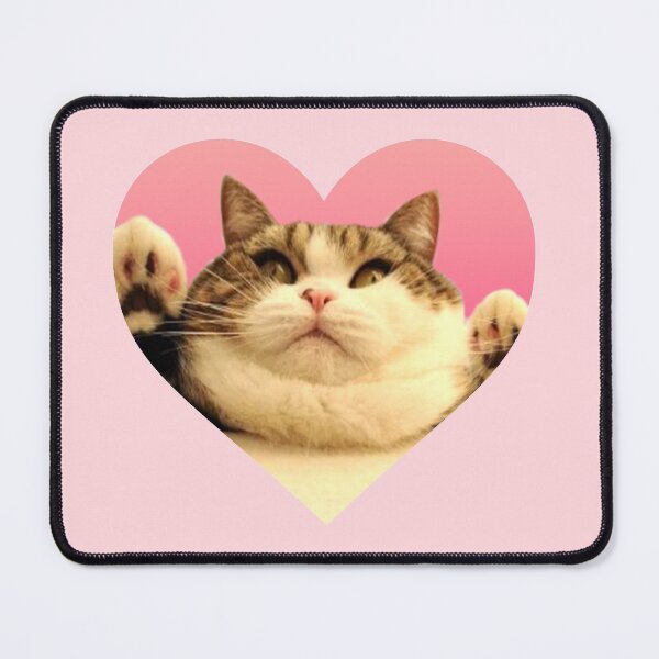 Item preview, Kitty Stickers: Chubby Kitty designed and sold by Elisecv.