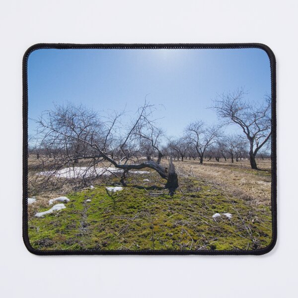 Item preview, Winter Orchard designed and sold by TeresaYoung9.