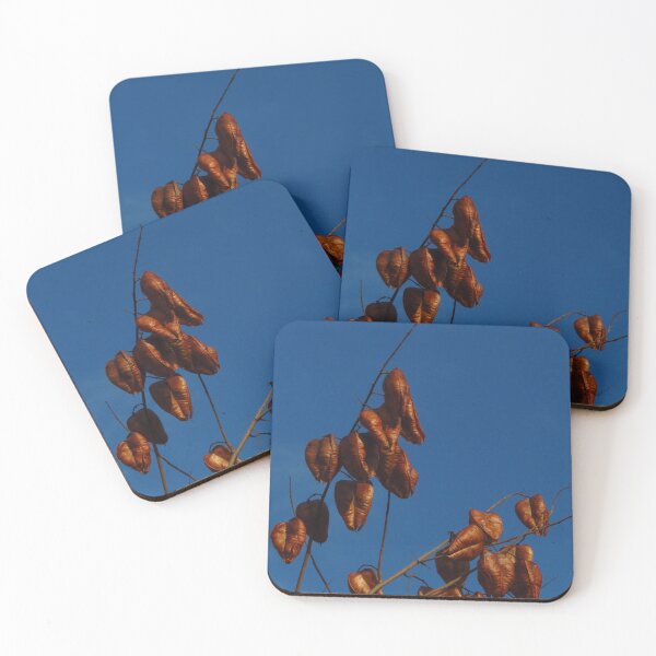 Item preview, Golden Brown Pods designed and sold by wiggyofipswich.