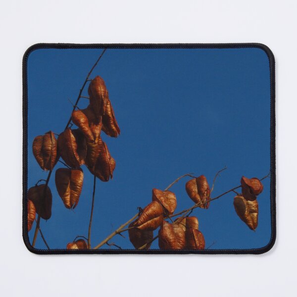 Item preview, Golden Brown Pods designed and sold by wiggyofipswich.
