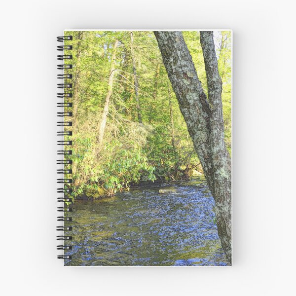 Item preview, Pocono Mountain Stream, Pennsylvania designed and sold by AMacGPhilly.