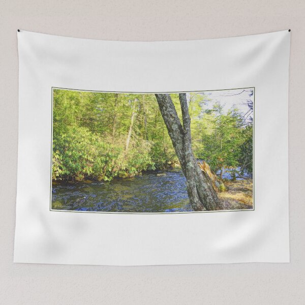 Item preview, Pocono Mountain Stream, Pennsylvania designed and sold by AMacGPhilly.