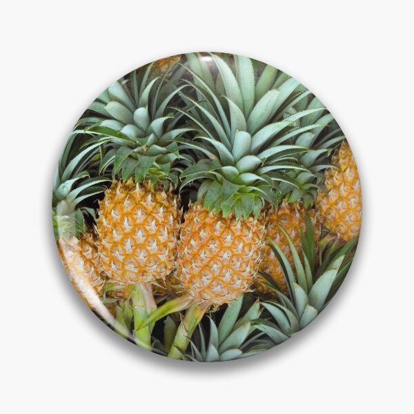 Item preview, Arrangement Organic Ripe Whole Pineapple designed and sold by Kevin Miller Photography.