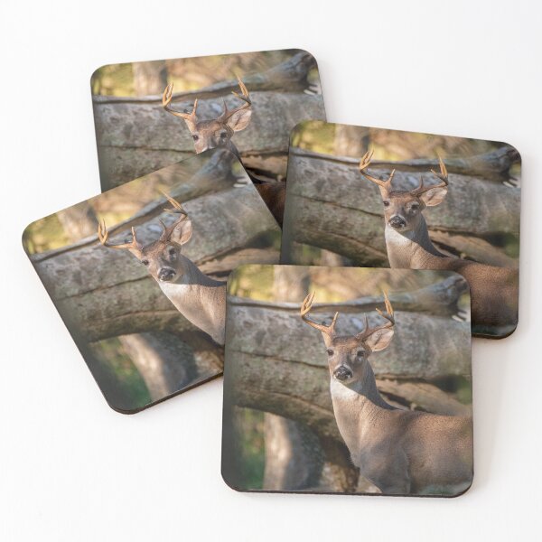 Item preview, Just A Young Buck  designed and sold by BowToe.
