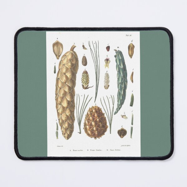 Item preview, Antique Pine Study 2 designed and sold by collageDP.