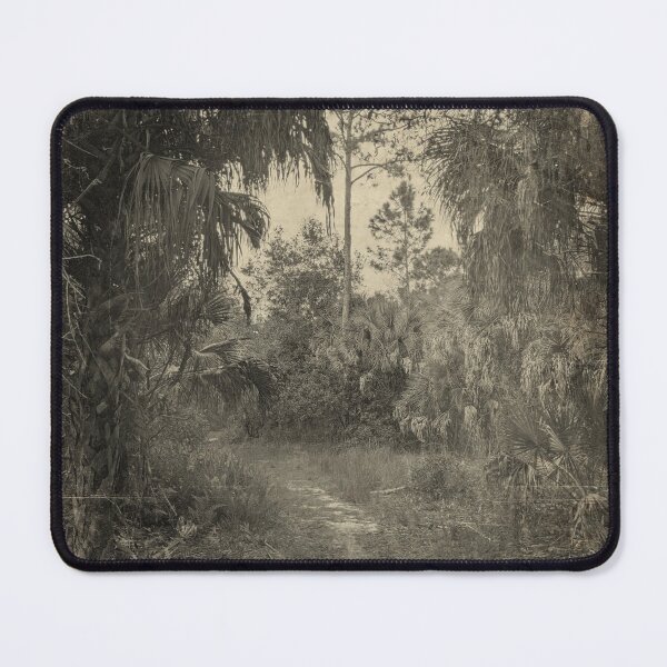 Item preview, Eerie Palm Tree Landscape - Vintage Florida designed and sold by OddVintage.